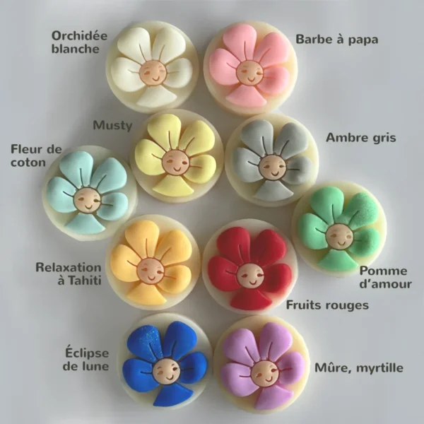 Les 10 parfums des fondants bien-être de Graine de Peps suivant les couleurs de Petite Fleur